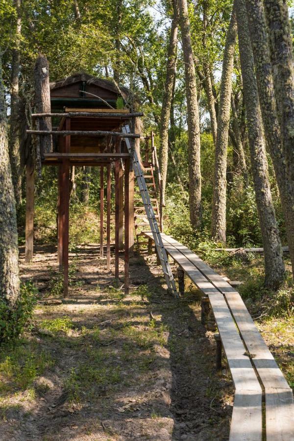 Eco-Lodge En La Reserva Privada Campanarios De Azaba - Proyecto De Conservacion Espeja Екстер'єр фото