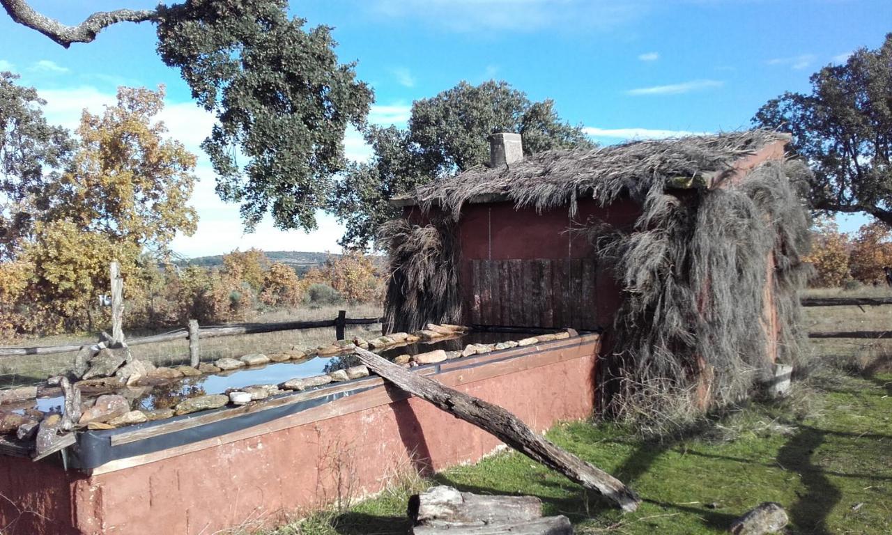 Eco-Lodge En La Reserva Privada Campanarios De Azaba - Proyecto De Conservacion Espeja Екстер'єр фото